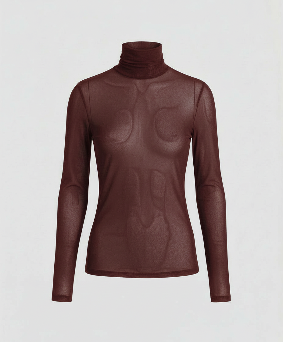 Transparent Turtleneck Blouse Women