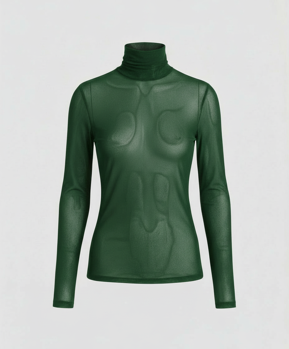Transparent Turtleneck Blouse Women